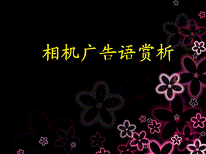 相机广告语.ppt