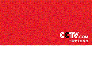 央视国际网站推广ppt31页(1).ppt