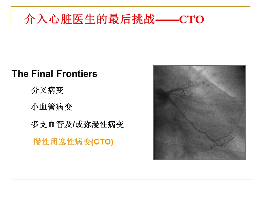 CTO病变介入治疗技巧.ppt_第2页