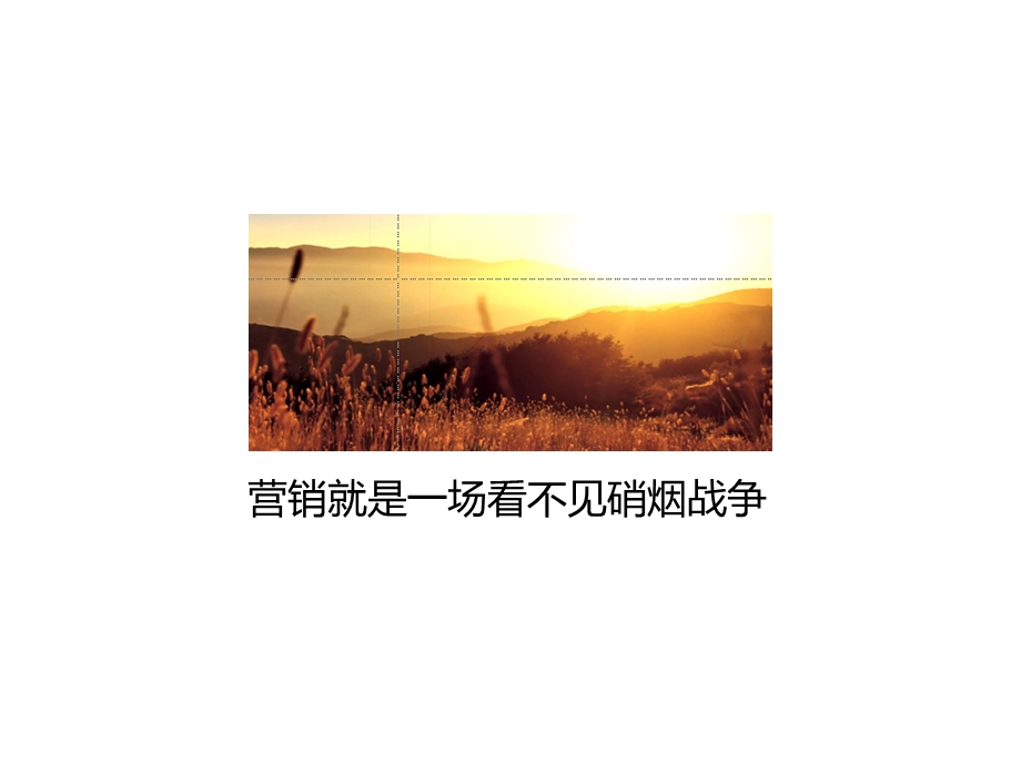 重庆黄水太阳湖旅游地产项目广告推广提案.ppt_第2页