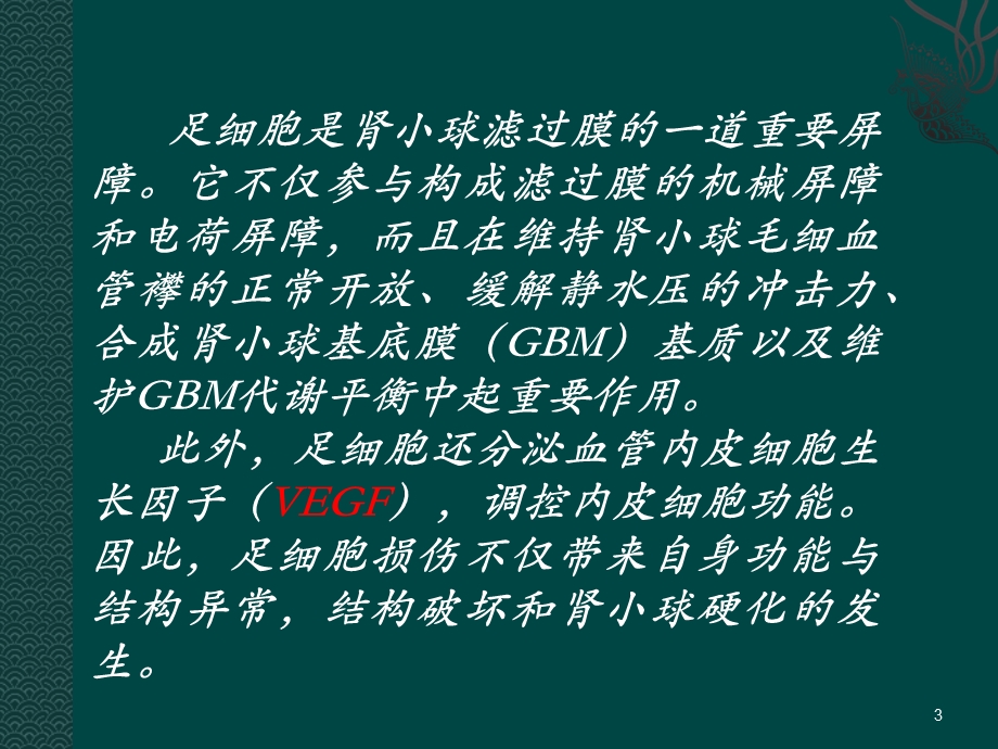 免疫性局灶节段性肾小球硬化病.ppt_第3页