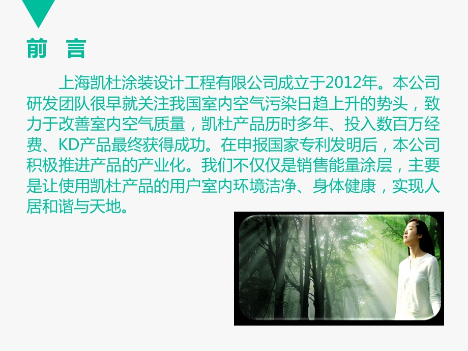 凯杜负氧离子能量涂层 最新版PPT20151020.ppt_第3页