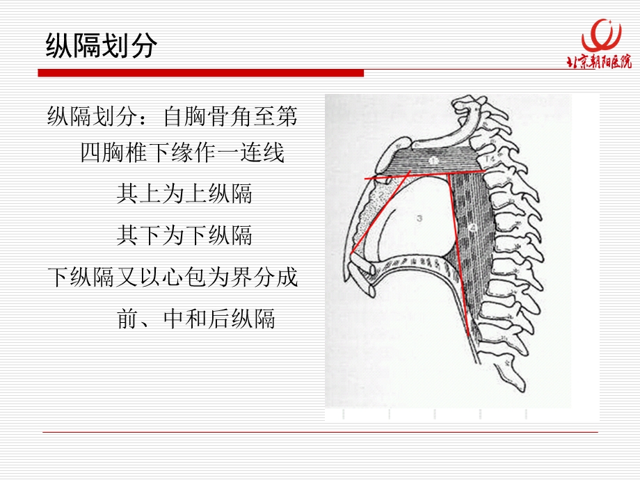 肺癌纵隔分期评估.ppt_第3页