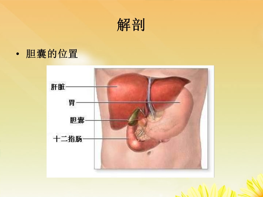 腹腔镜胆囊切除术的护理.ppt_第3页