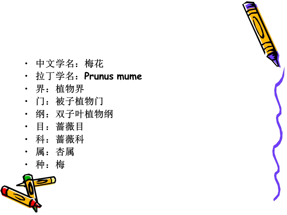 梅花教学PPT(1).ppt_第2页