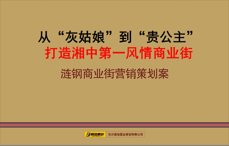 娄底涟钢商业街营销策划案(1).ppt_第1页