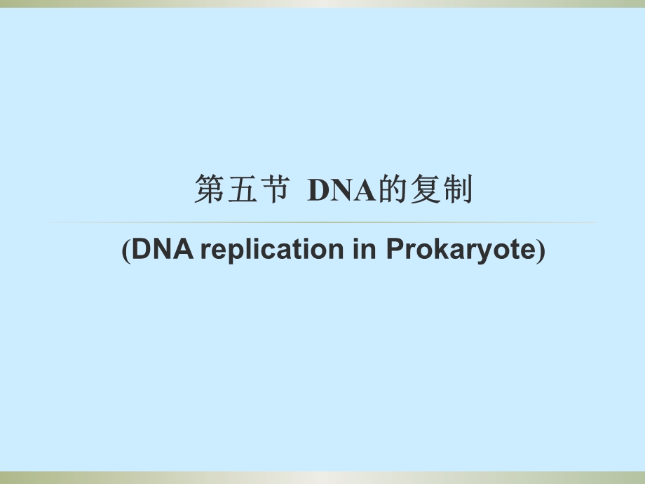 DNA复制的起始和终止.ppt_第3页