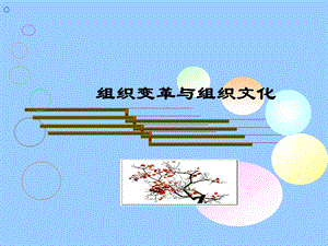 12组织变革和组织文化ppt(1).ppt