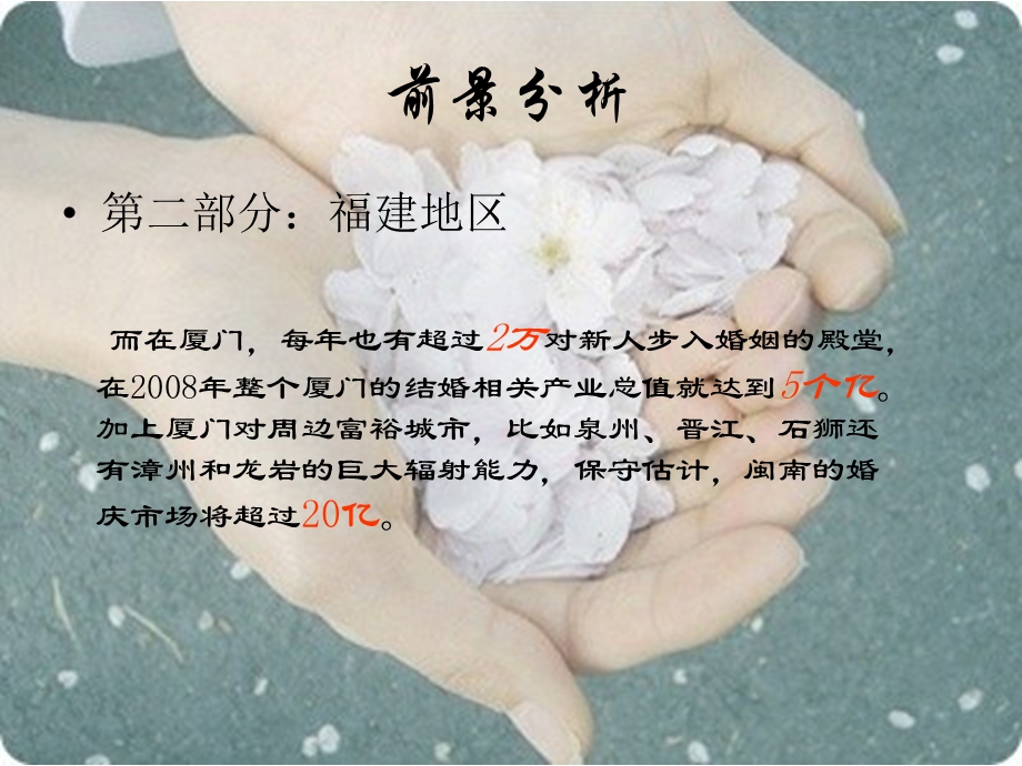 个性婚礼服务公司创业计划书.ppt_第3页