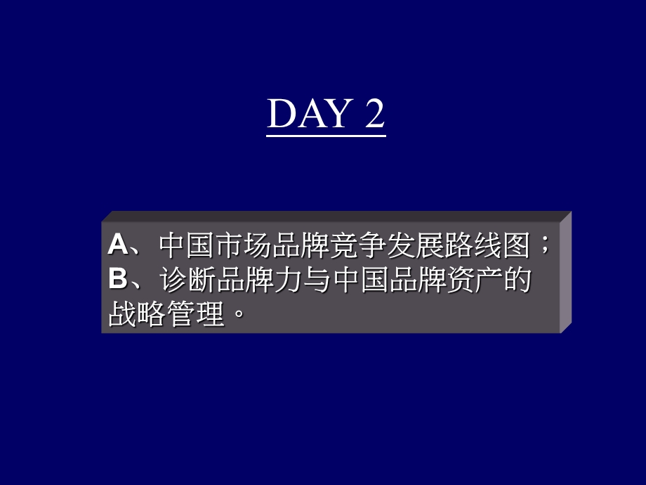 品牌资产战略管理.ppt_第2页