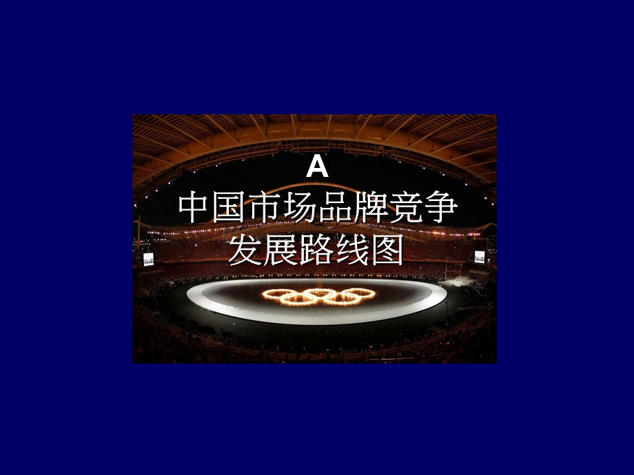 品牌资产战略管理.ppt_第3页