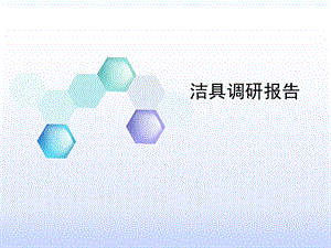 洁具调研报告.ppt