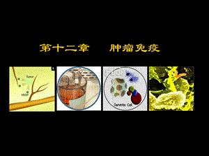 第十二章__肿瘤免疫.ppt