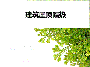 屋顶隔热专题教学PPT.ppt