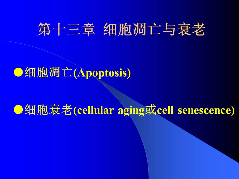 细胞衰老与凋亡.ppt_第1页