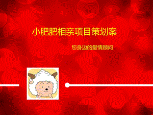 相亲公司项目策划(1).ppt