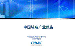 CNNIC中国域名产业报告（PPT格式） .ppt