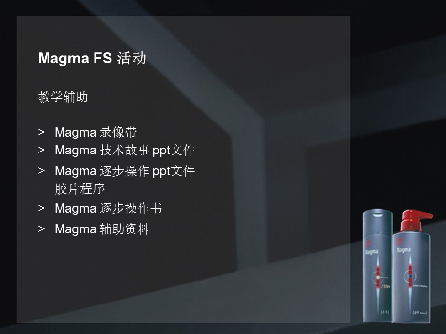 Magma FS活动策划方案(1).ppt_第2页