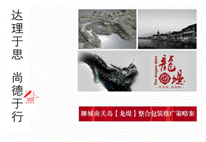 2011聊城南关岛龙堤整合包装推广策略案80p.ppt