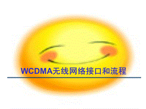 WCDMA无线网络接口和流程.ppt