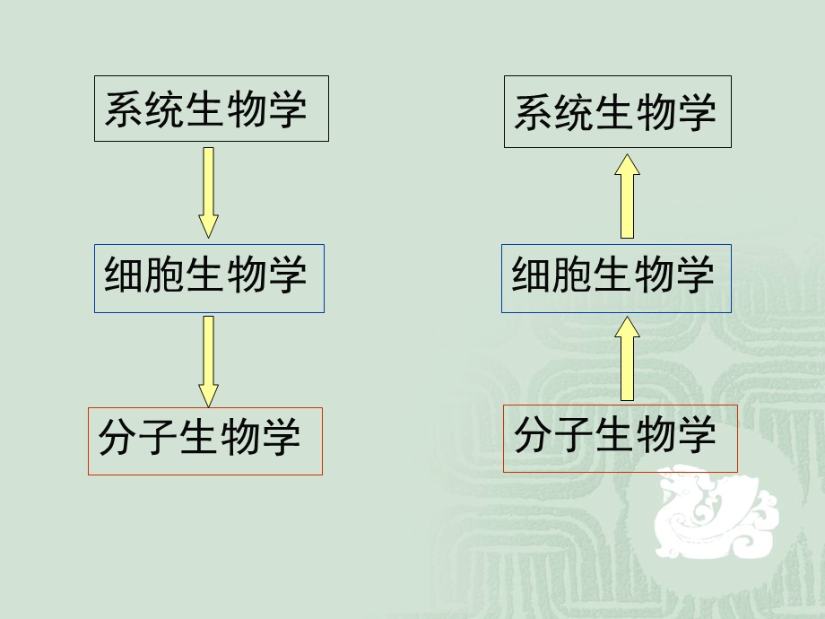 细胞自噬-参考.ppt.ppt_第2页