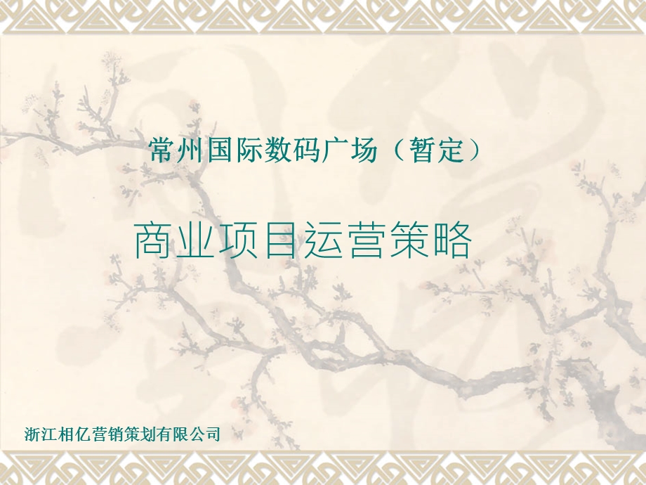 常州时代数码广场商业项目运营策略(1).ppt_第1页