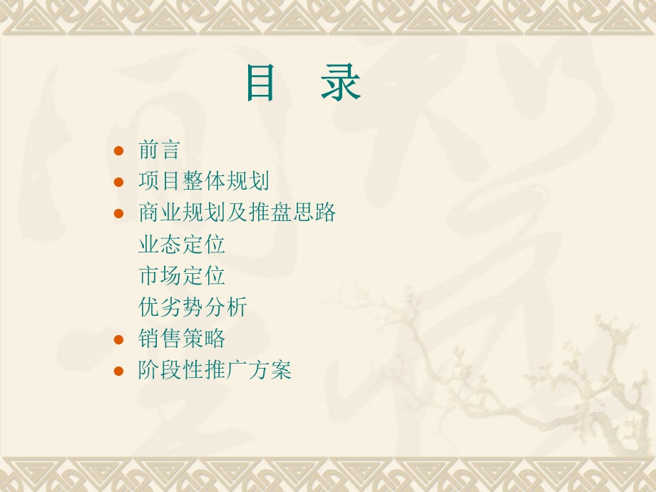 常州时代数码广场商业项目运营策略(1).ppt_第2页