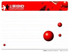 武汉武湖冰晶非中心商业项目推广策略111PPT-2007年.ppt