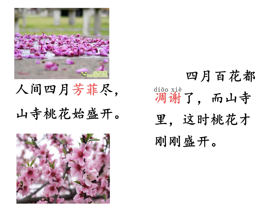 教学PPT山里的桃花开得迟(1).ppt_第2页