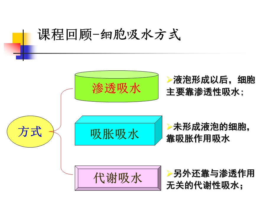 第二章 根系对水分的吸收-(3-4).ppt_第1页