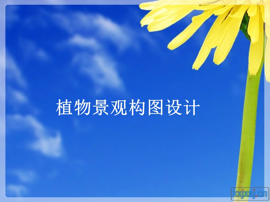 植物景观构图设计.ppt_第1页