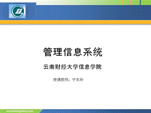 教学PPT管理信息系统的概述.ppt