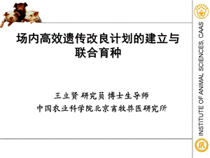 场内高效遗传改良计划的建立与联合育种--王立贤-中国农业科学院北京畜牧兽医研究所.ppt