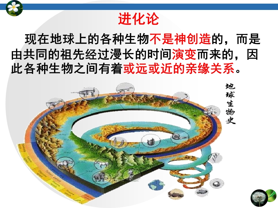 第七章现代生物进化理论.ppt_第3页