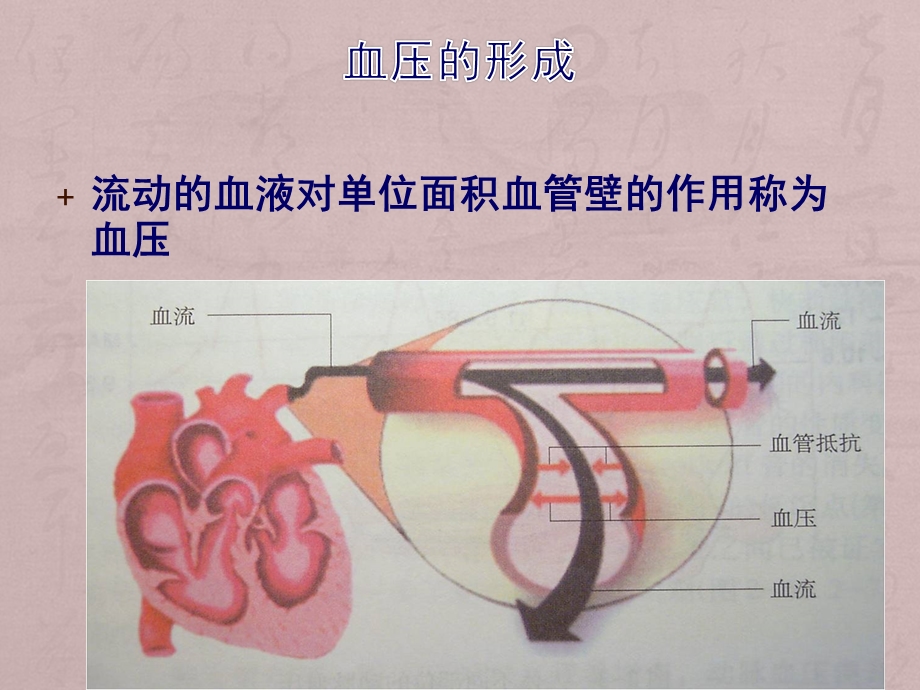 高血压病人的护理.ppt_第2页