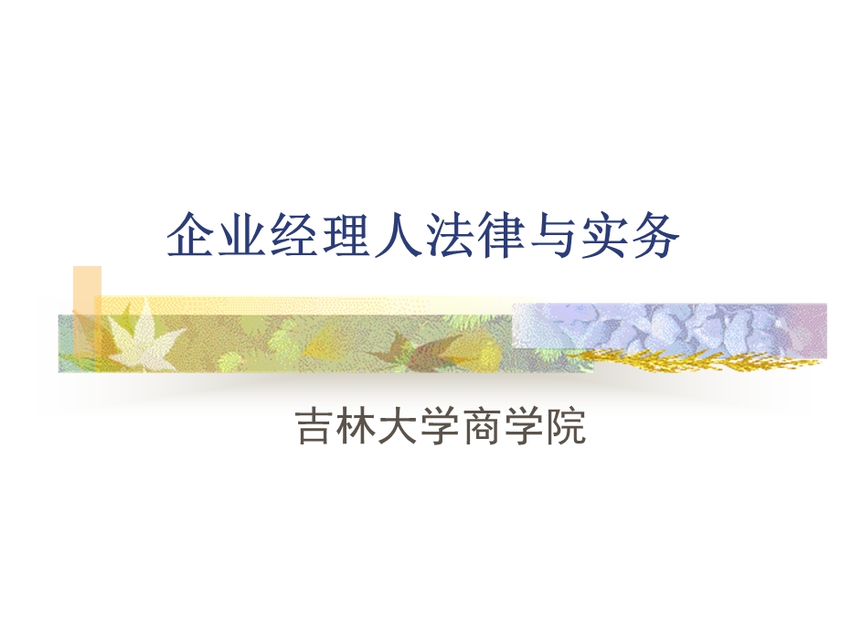 企业经理人法律与实务.ppt_第1页