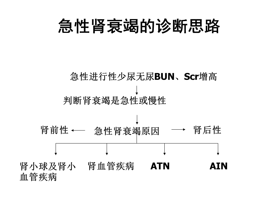 急性肾衰竭.ppt_第2页