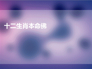 十二生肖本命佛.ppt