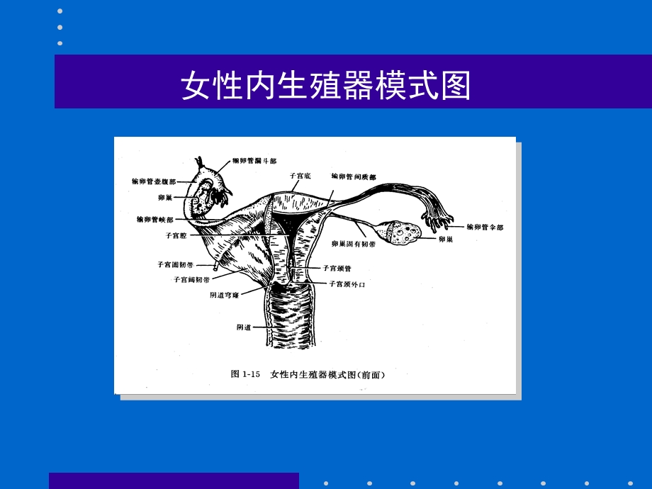 异位妊娠的超声诊断.ppt_第2页