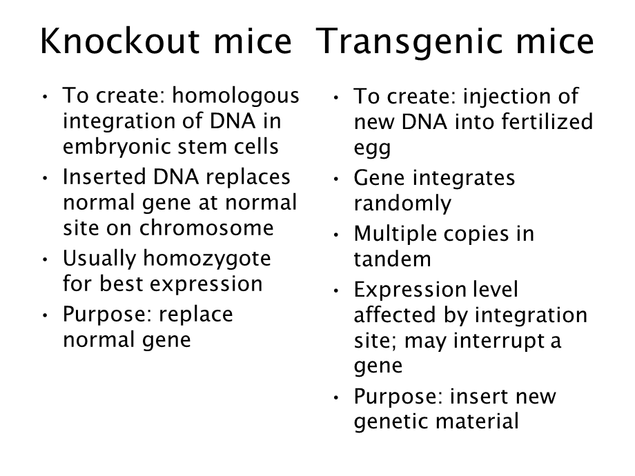 Knockout and transgenic mice uses and abuses.ppt_第2页