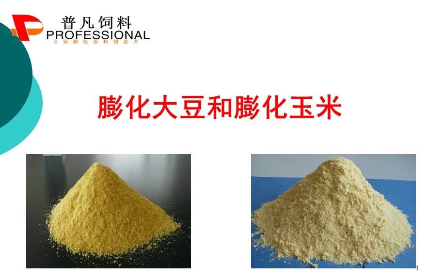 膨化大豆与膨化玉米.ppt_第1页