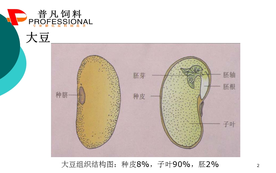 膨化大豆与膨化玉米.ppt_第2页