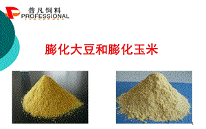 膨化大豆与膨化玉米.ppt