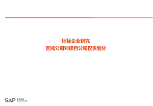 赛普咨询-标标企业研究：区域公司对项目公司权责划分.ppt