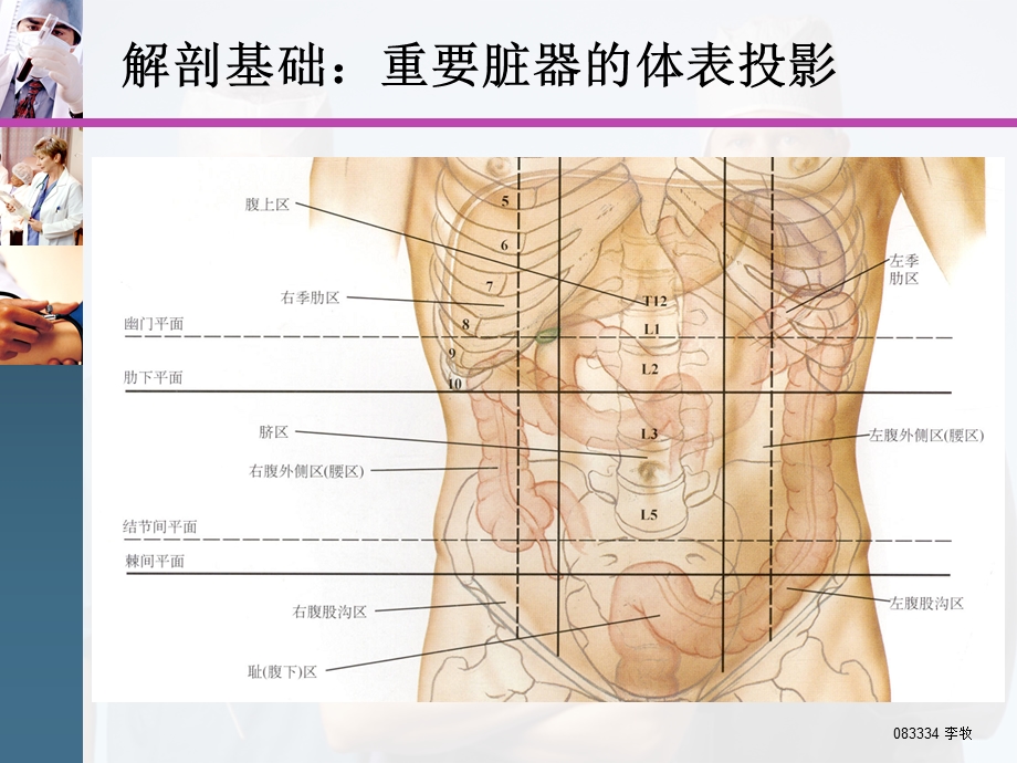 腹盆腔CT常见结构及临床意义讲座.ppt_第2页