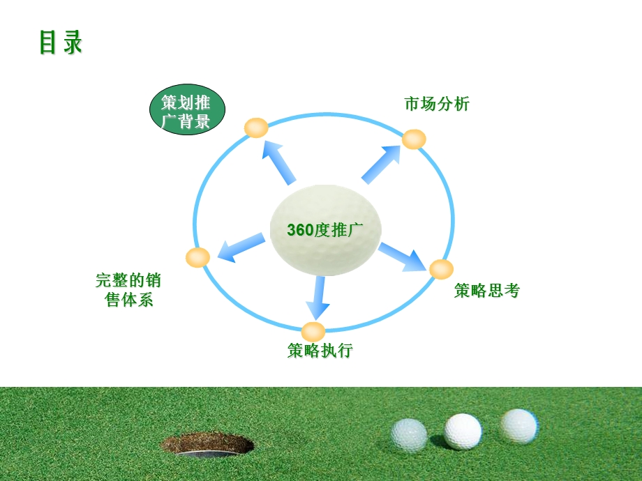 2008上海滨海高尔夫球场年度会籍卡推广方案.ppt_第2页