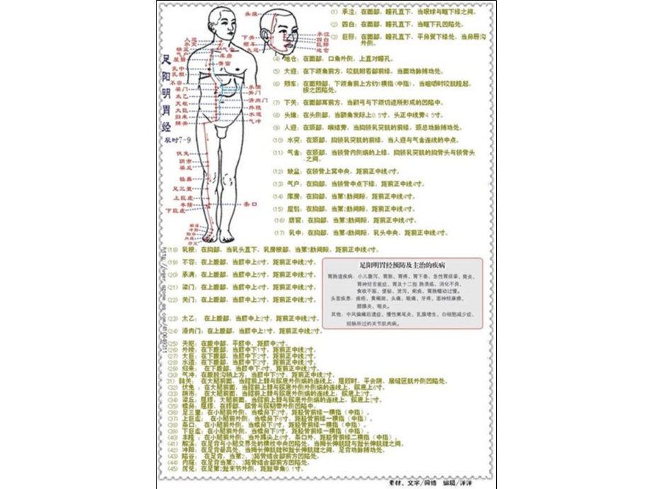 经络穴位治疗详解图.ppt_第3页