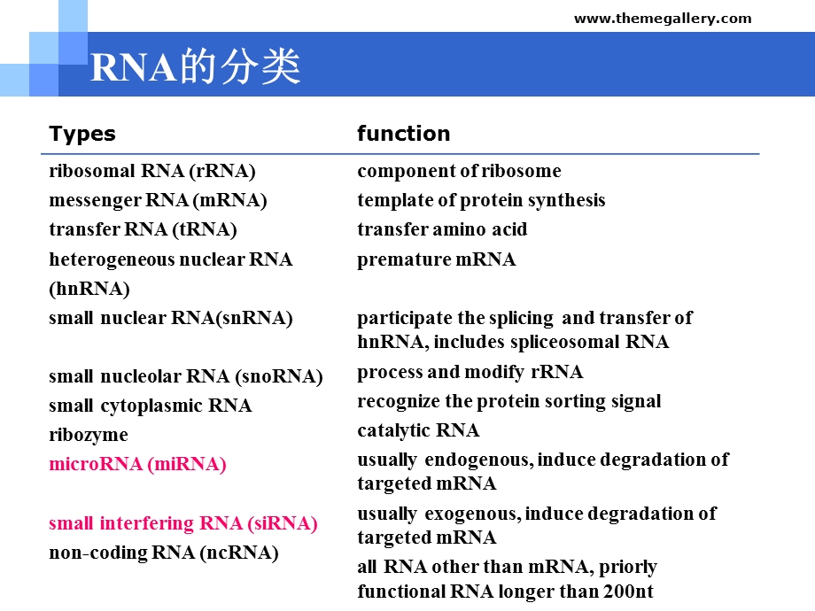 RNAi技术专题讲座PPT(2).ppt_第2页