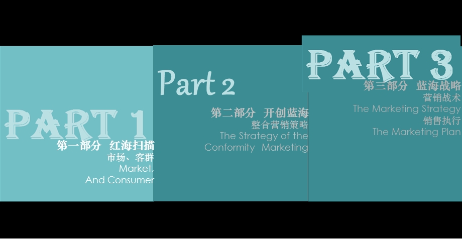 绿城-北京绿城阳光名苑项目营销执行方案-2009年.ppt_第2页