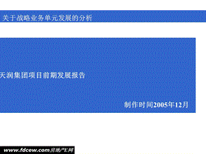 天润集团商业项目前期发展报告(1).ppt